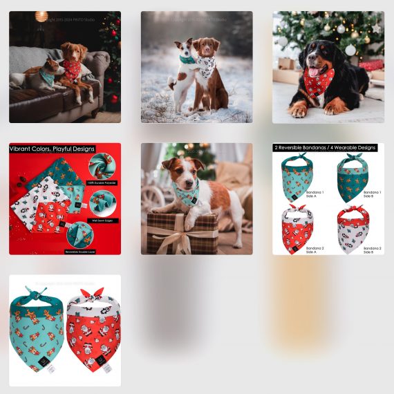 How to create a pet product photo for Amazon in china?